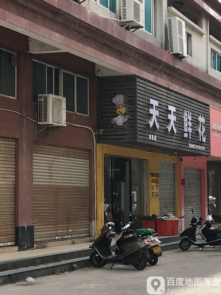 天天鲜花(水东店)