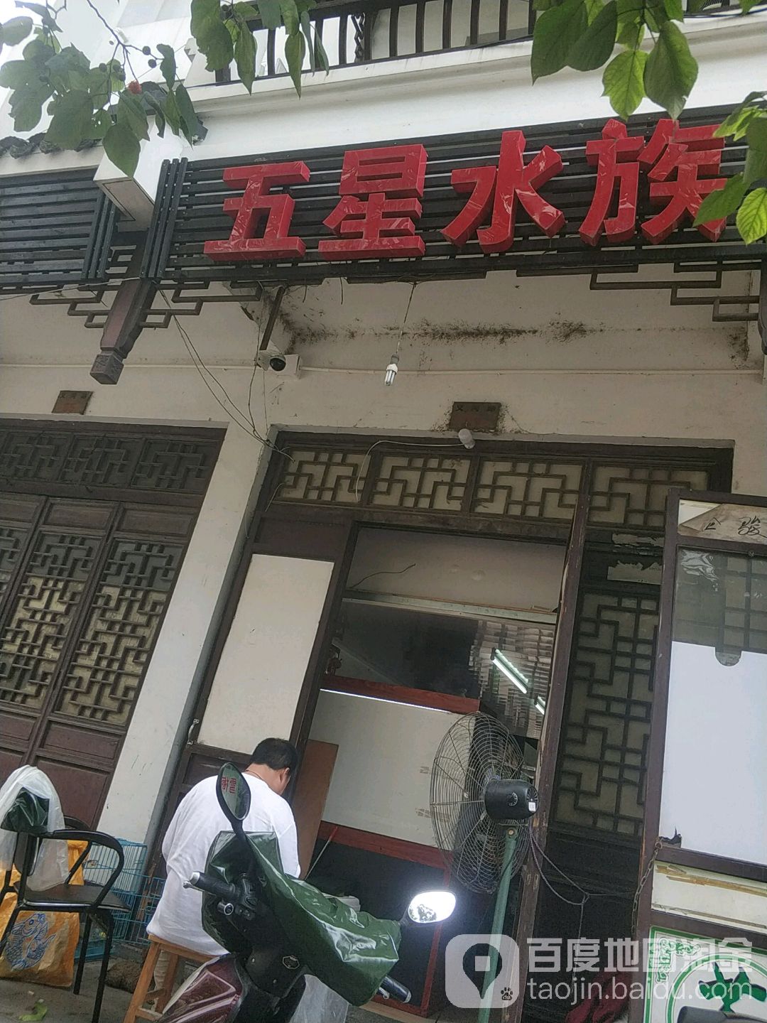 华仔五星乡水族(嘉善县文化综合市场店)