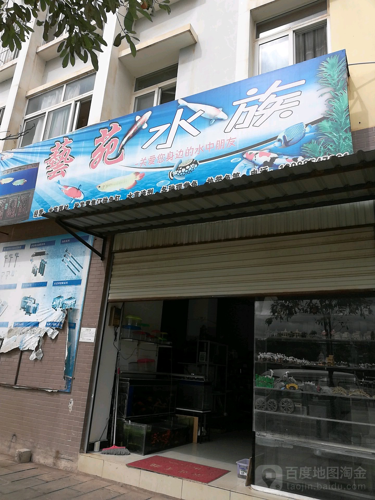 影艺苑水族