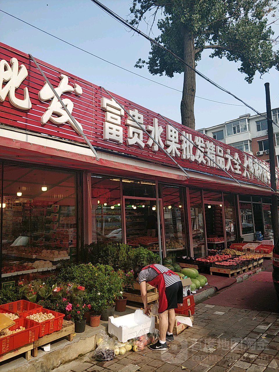 吉林省长春市朝阳区桂林路2489号2楼  标签: 水果 水果批发市场