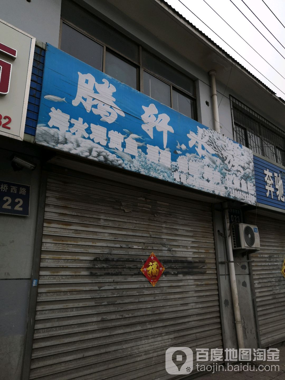 腾轩水族