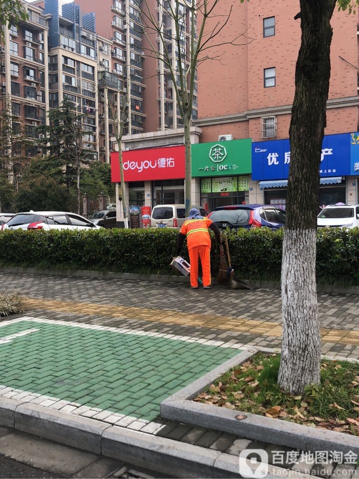 一片芸茶