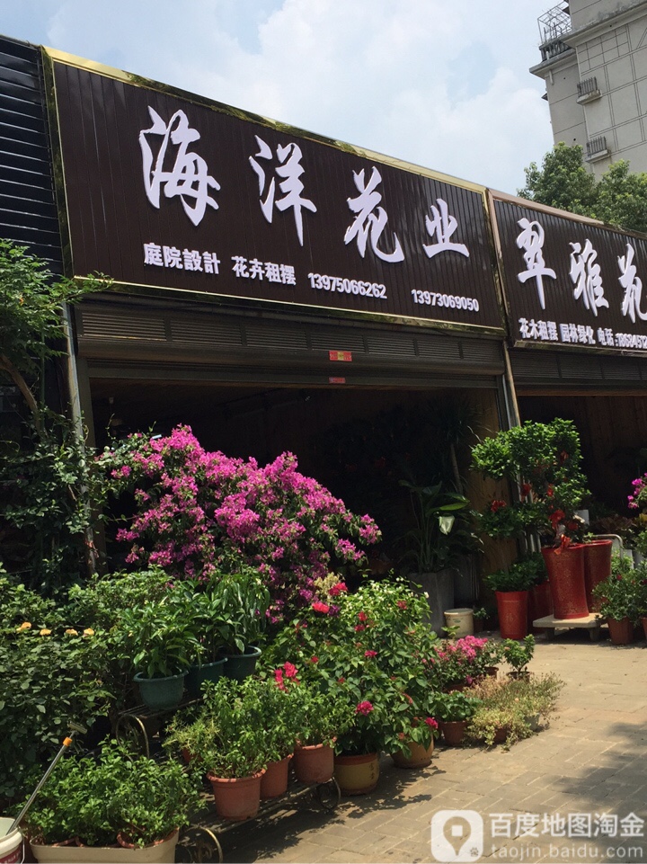海洋花业