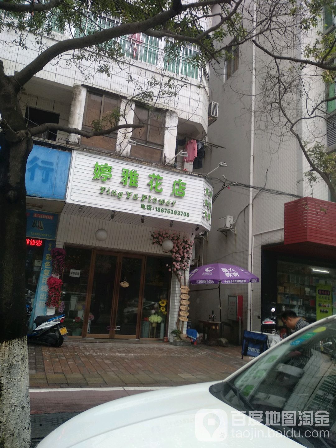 婷雅花店