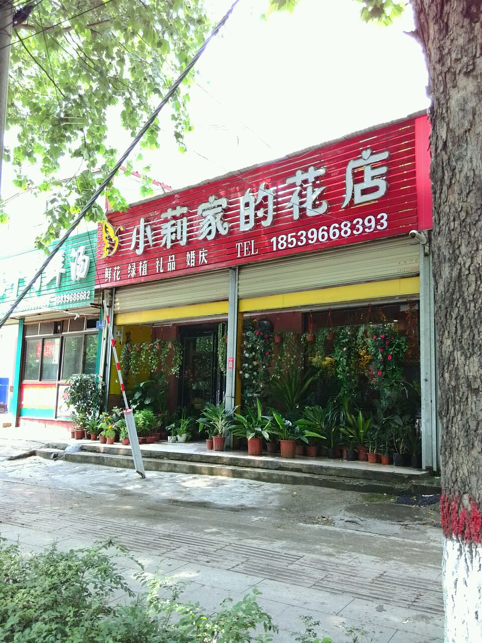 小莉家的花店