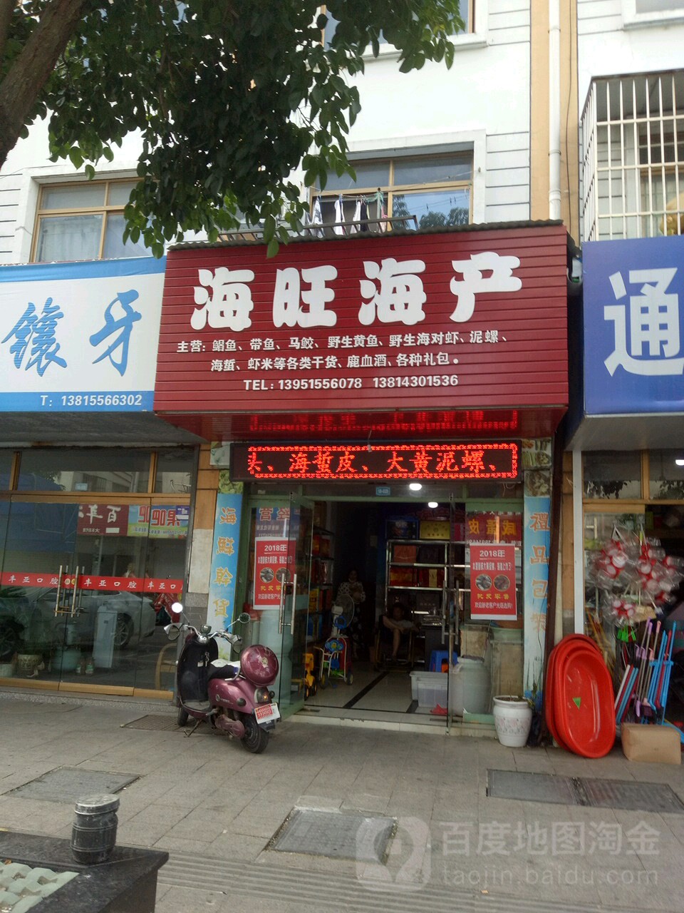 海旺海参
