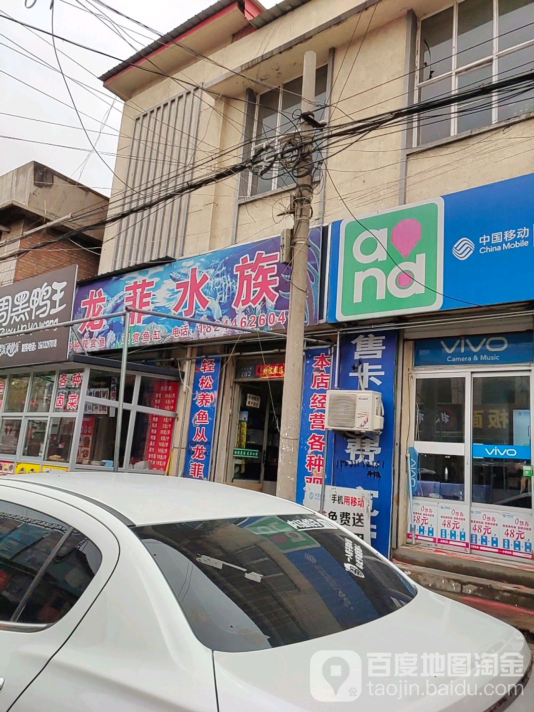 龙菲水族