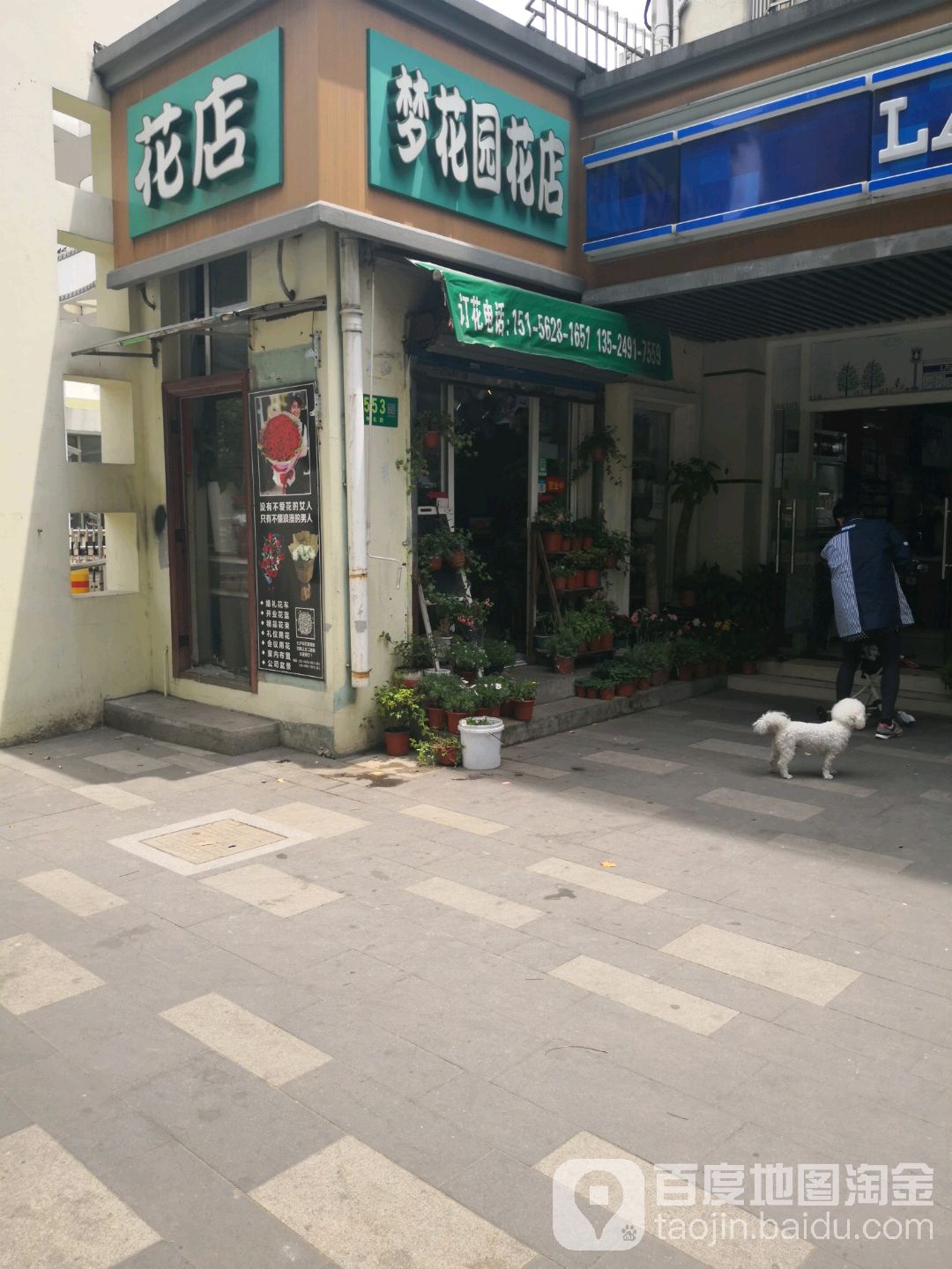 梦花园花店(申北路店)
