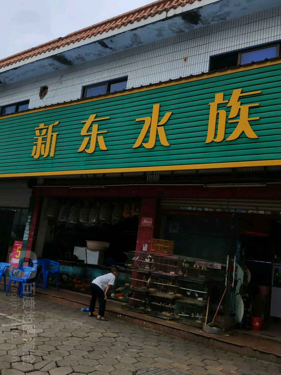 新东水族