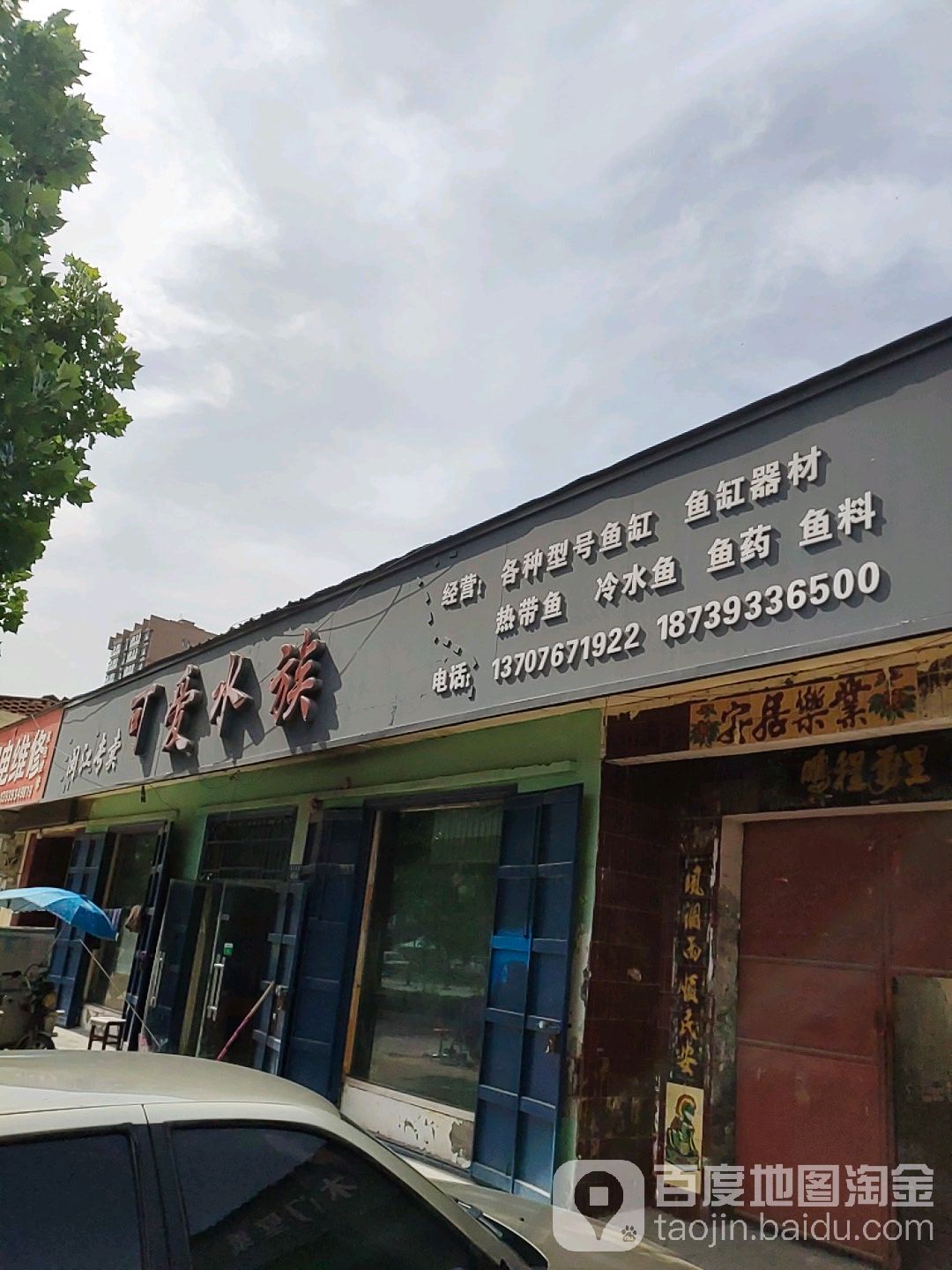 可爱水族(闽江专卖)
