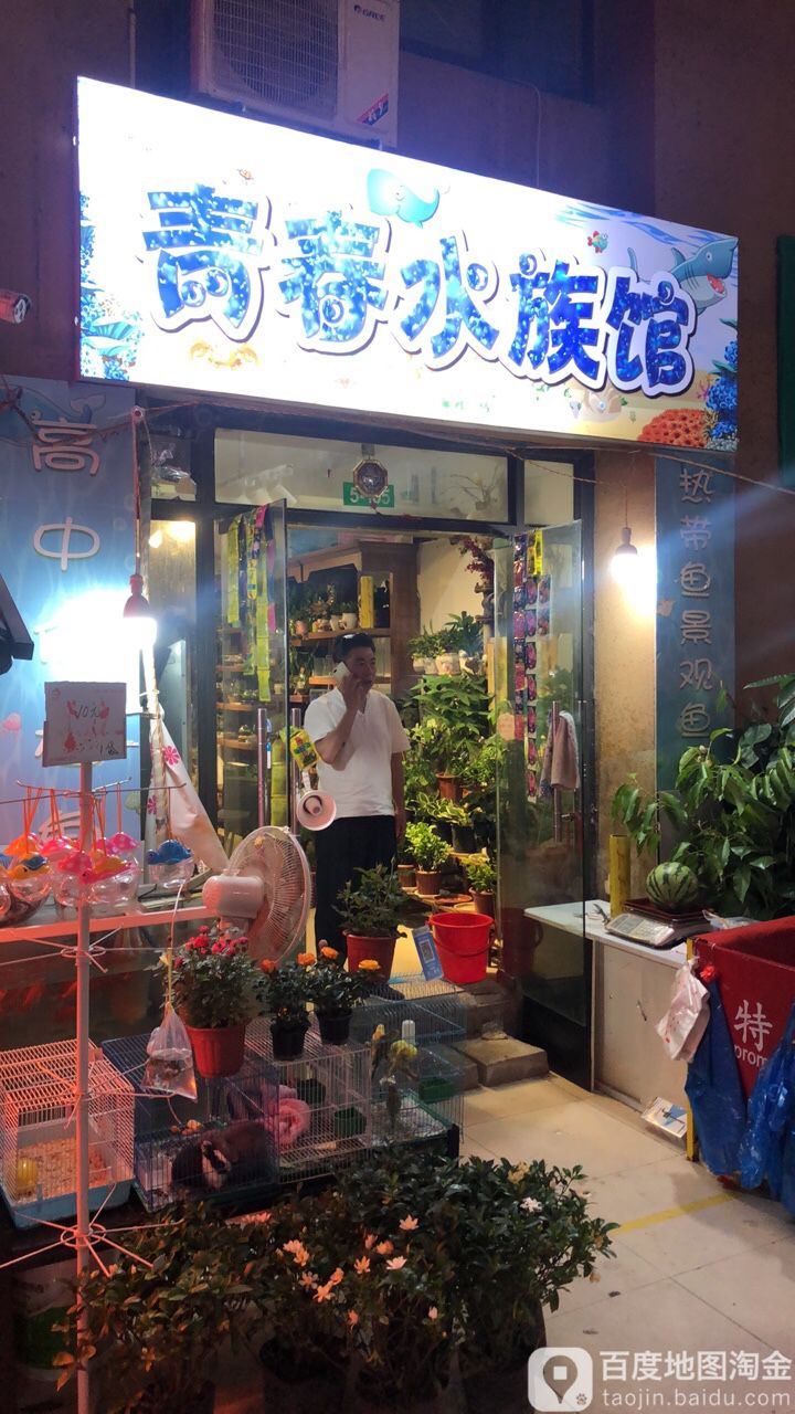 青春水族馆