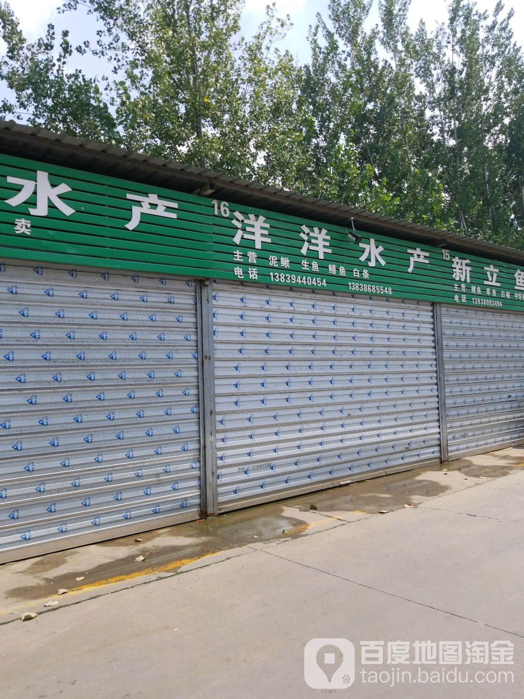 洋洋水产