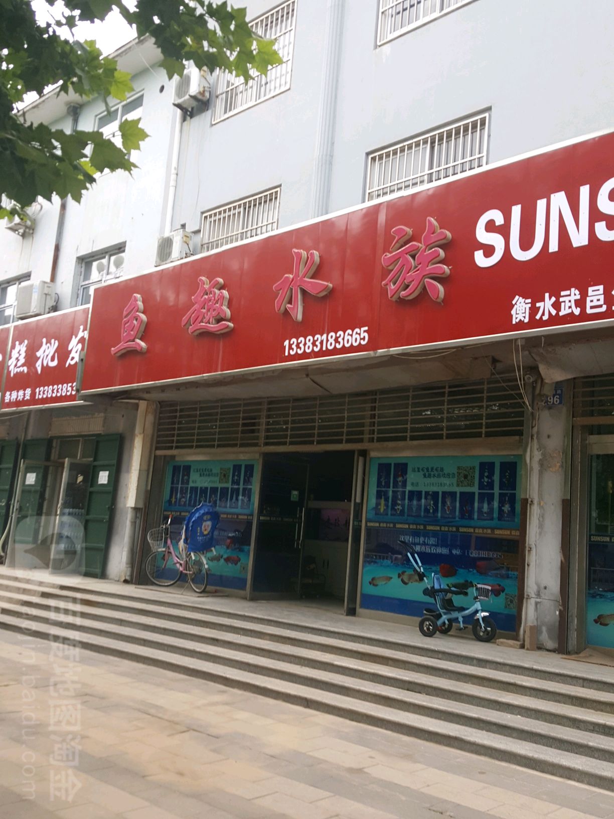 鱼趣水族