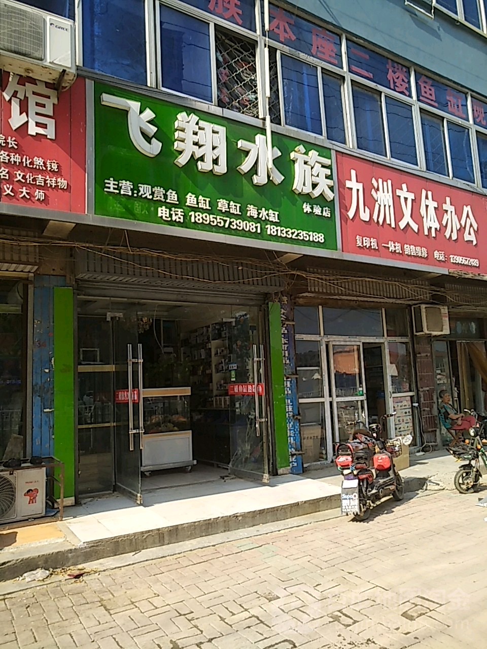飞翔水族