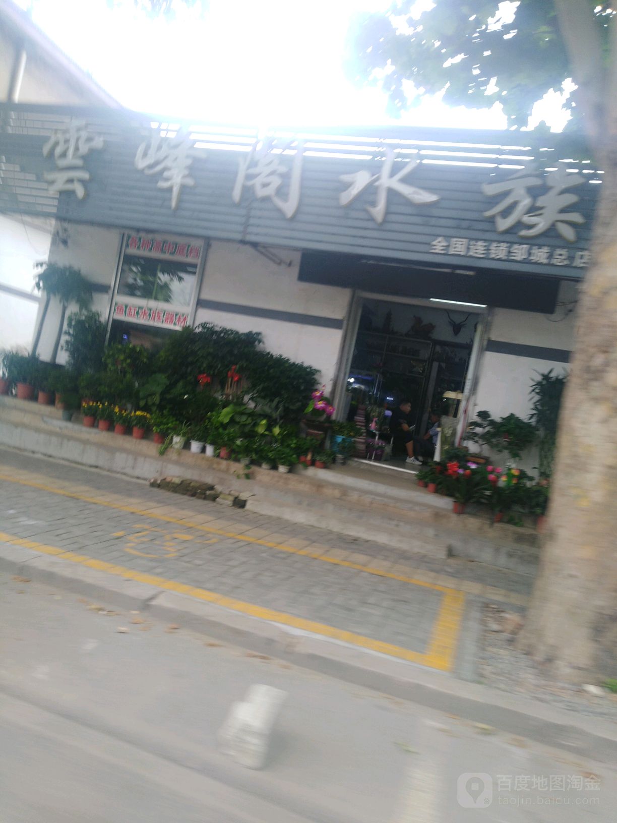 云峰阁水景(邹城总店)