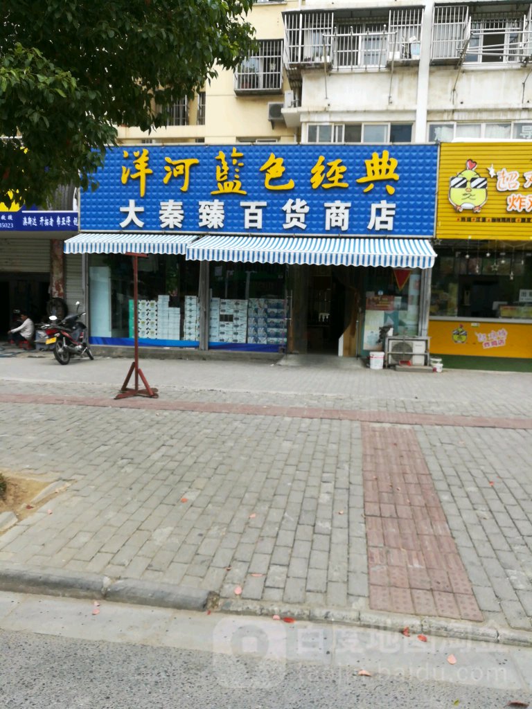 大秦臻大百商店