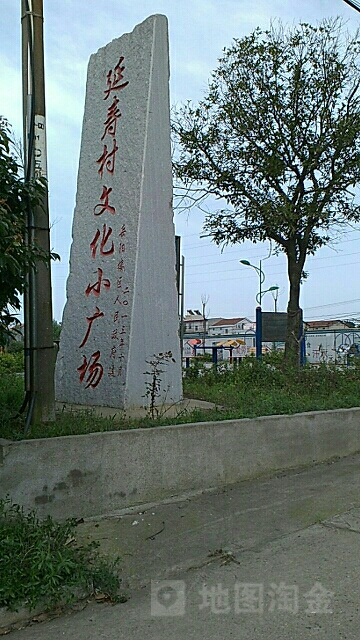 湖南省岳阳市岳阳楼区洛王街道延寿村口延寿小学斜对面那条路进去100米