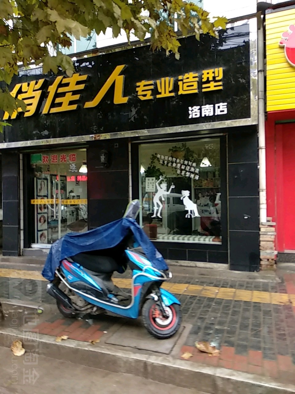 俏佳人专业造形(洛南店)