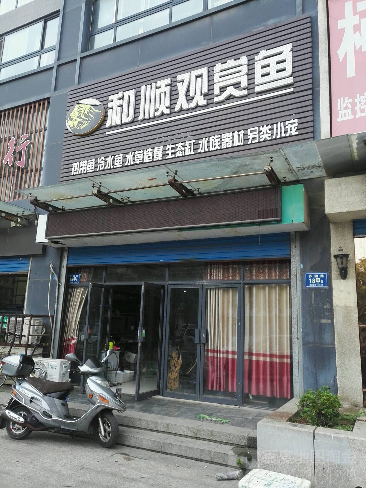 和顺观赏鱼