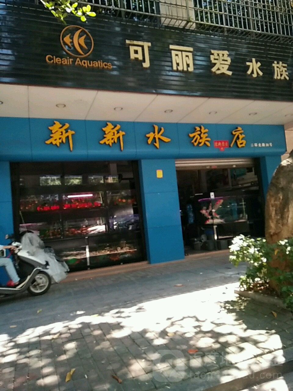新新水族店