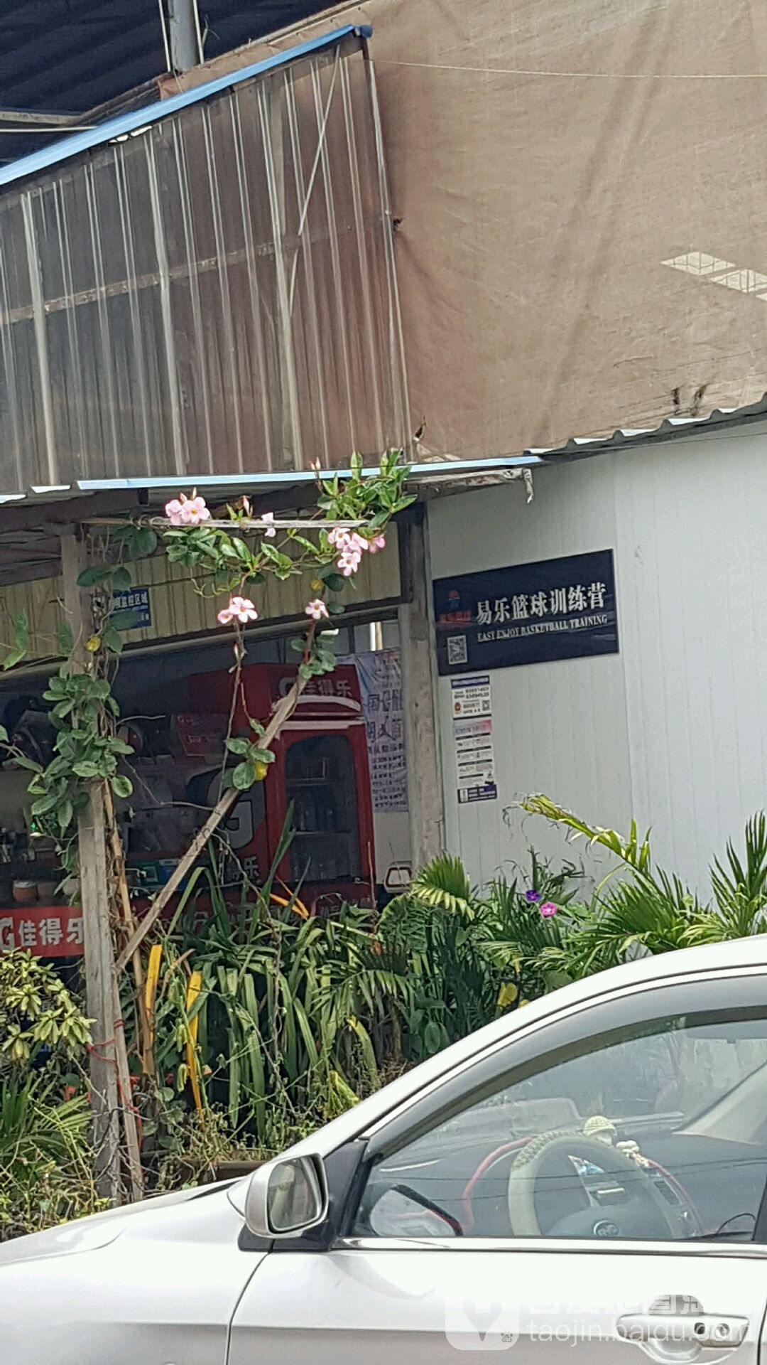 易乐篮火训练营