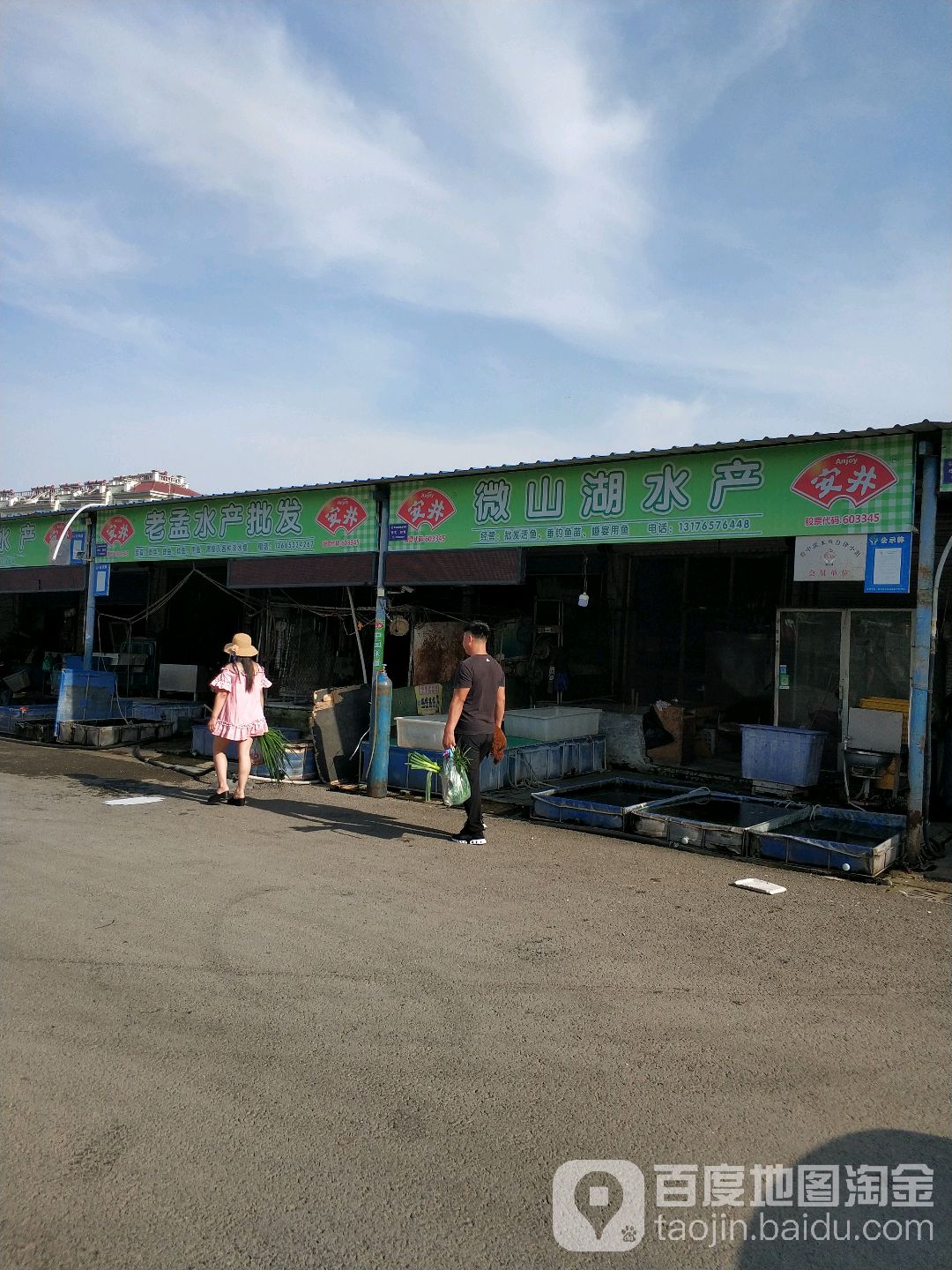 微山湖水产商批发商行
