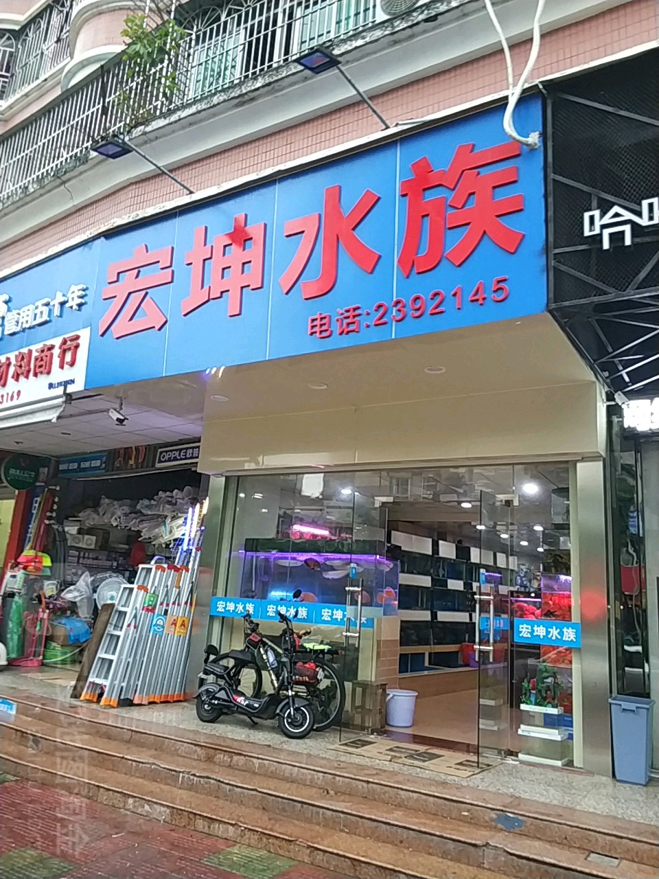 森森水族宏坤水族连锁经营店(花边南路店)