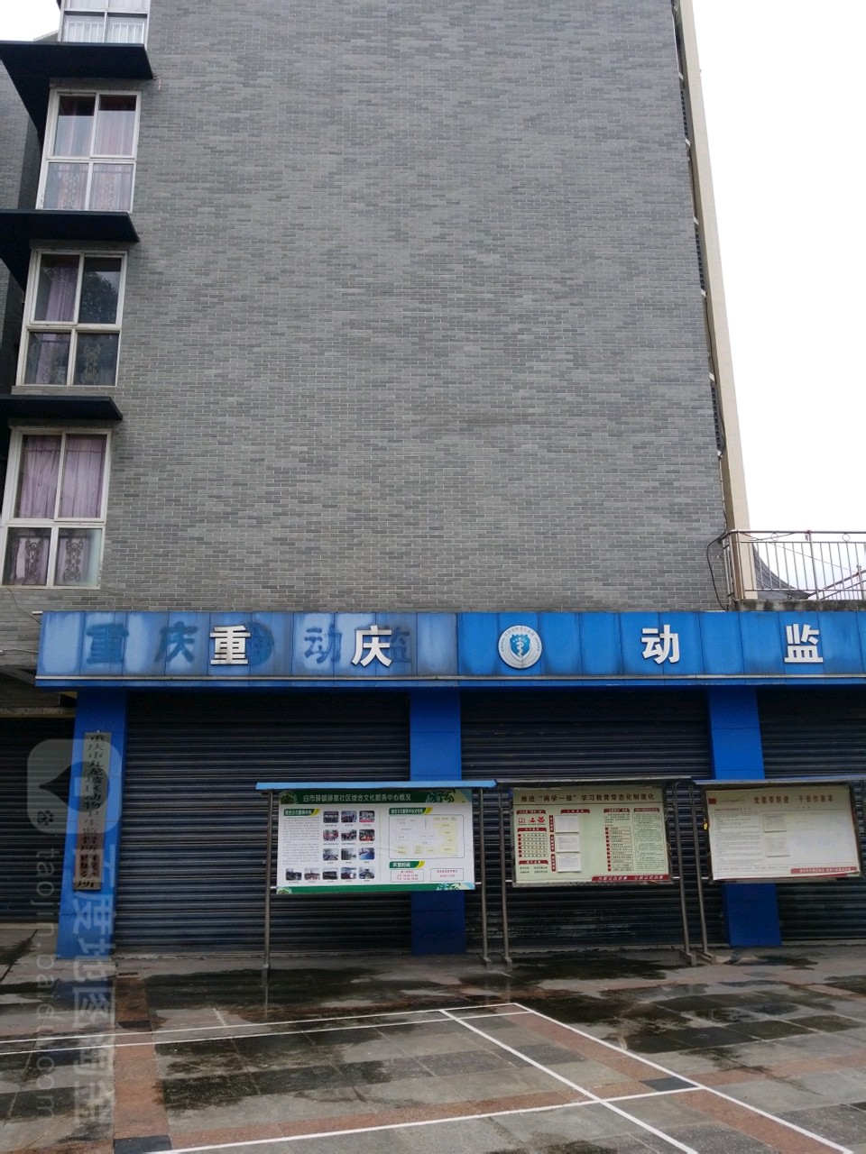 重庆动监