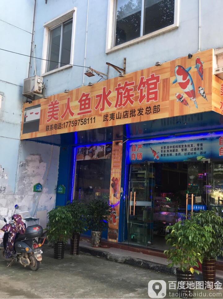 美人鱼水族馆(武夷山店)