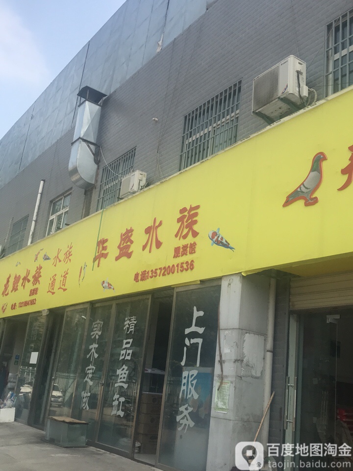 华盛水族
