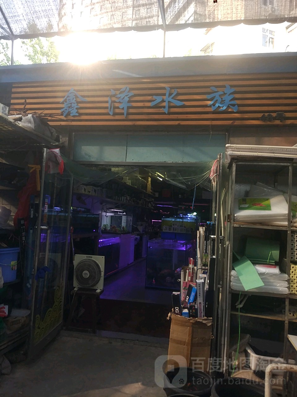 鑫泽水族(登发家装市场店)