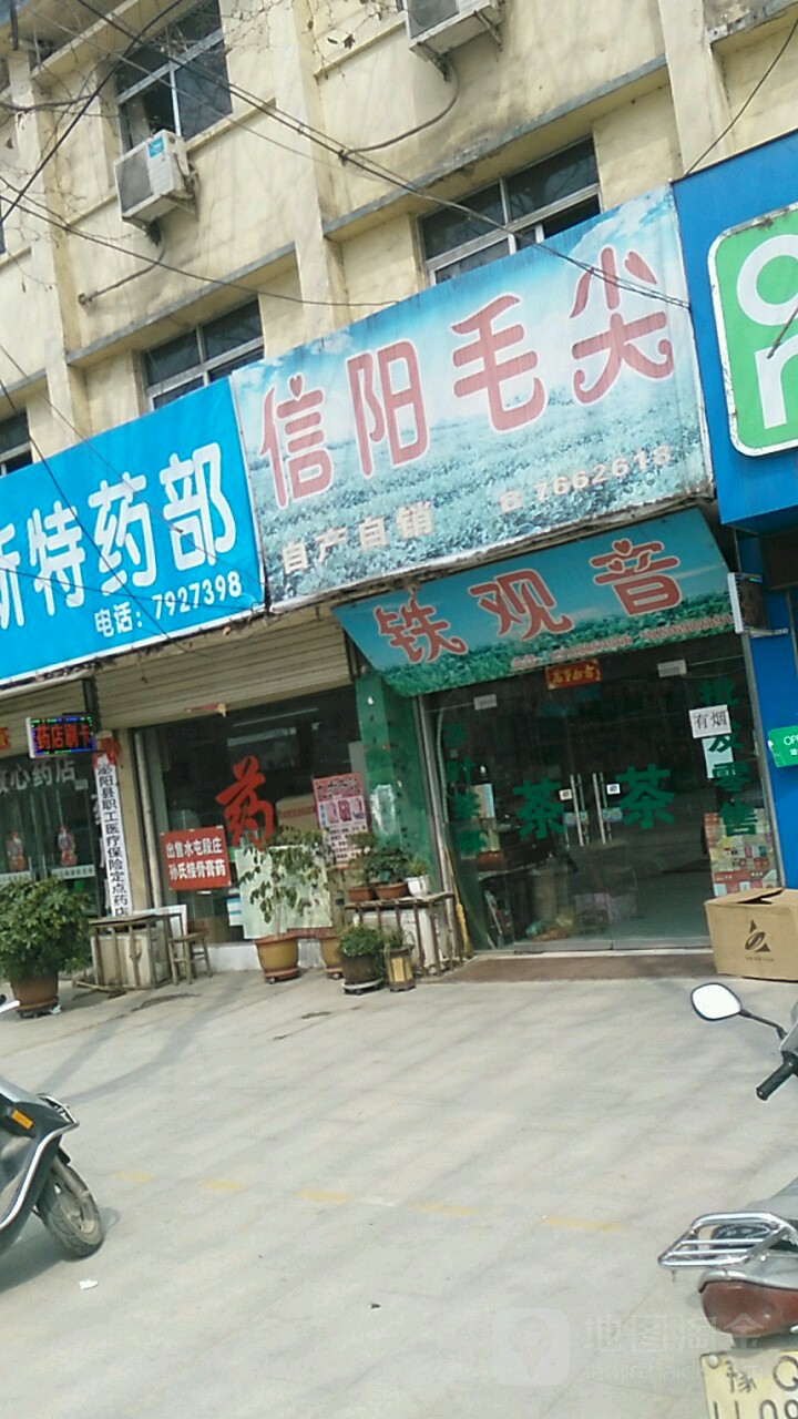 信阳毛尖(行政路店)