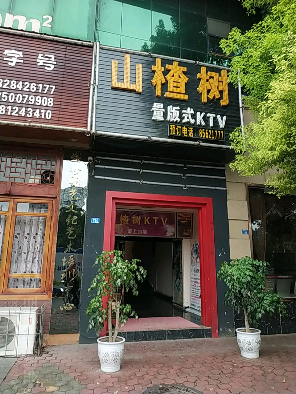 山楂树亮范式KTV