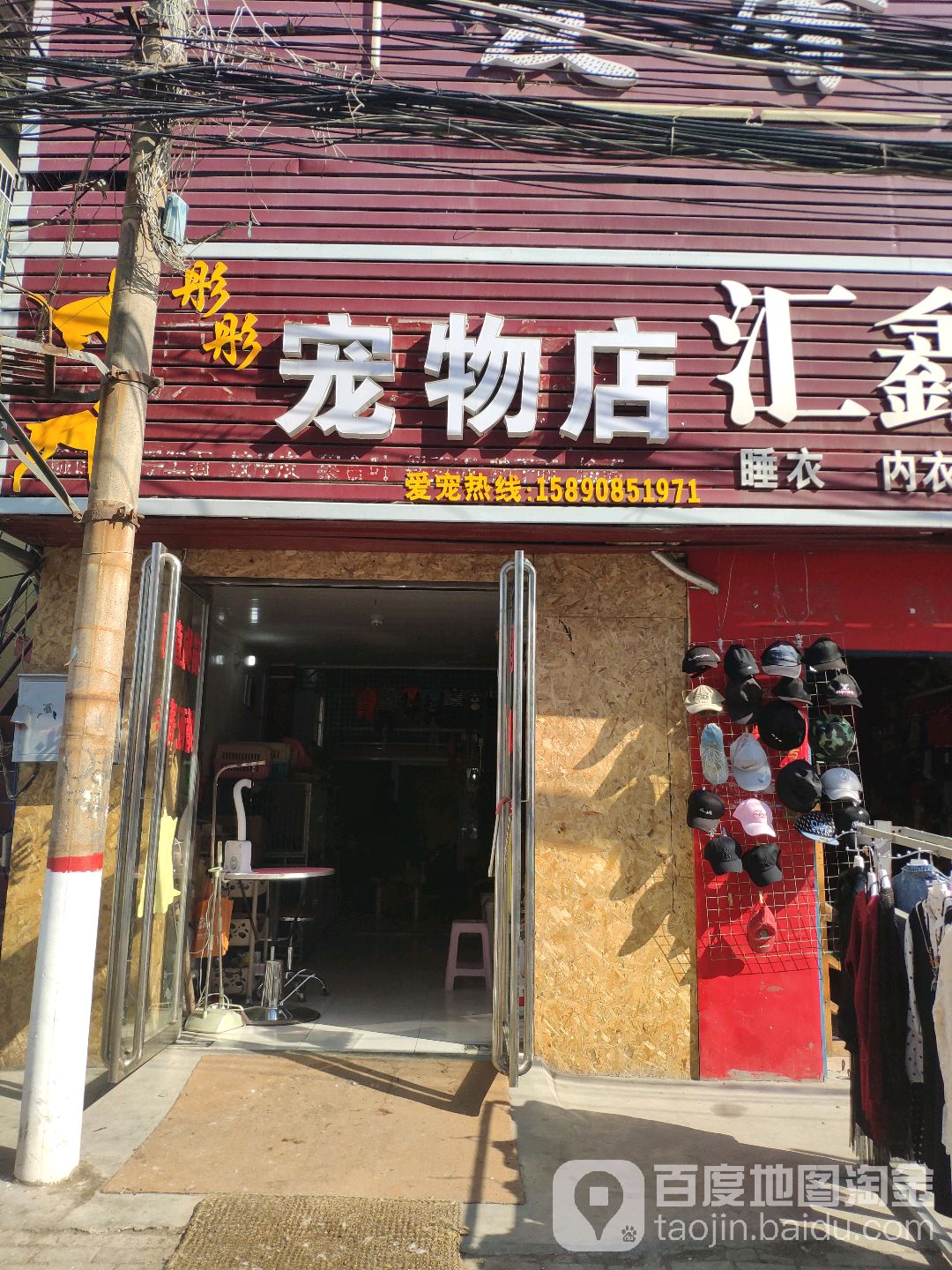 彤彤萌宠物店