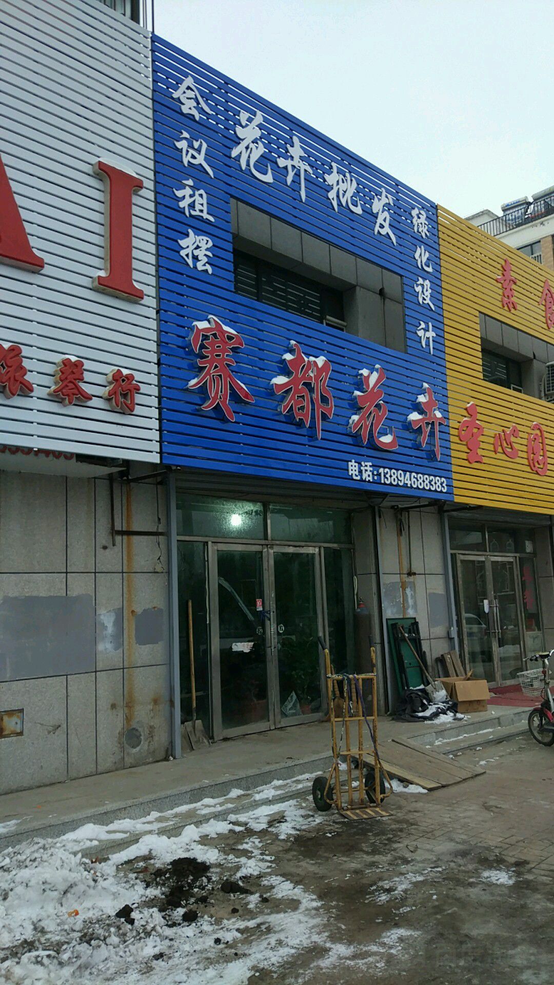 赛都花卉