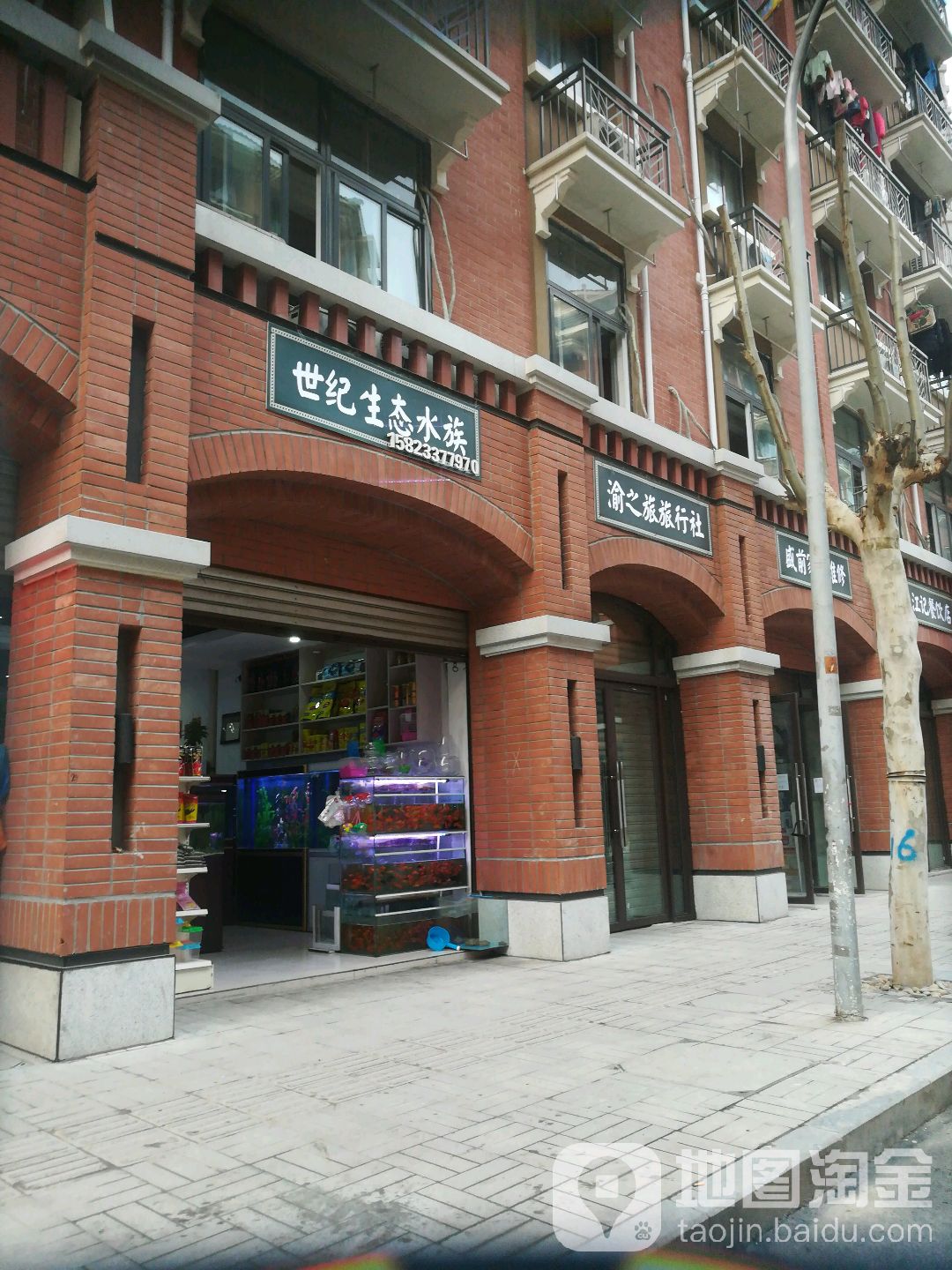 世纪生态水族(佳宝专卖店)