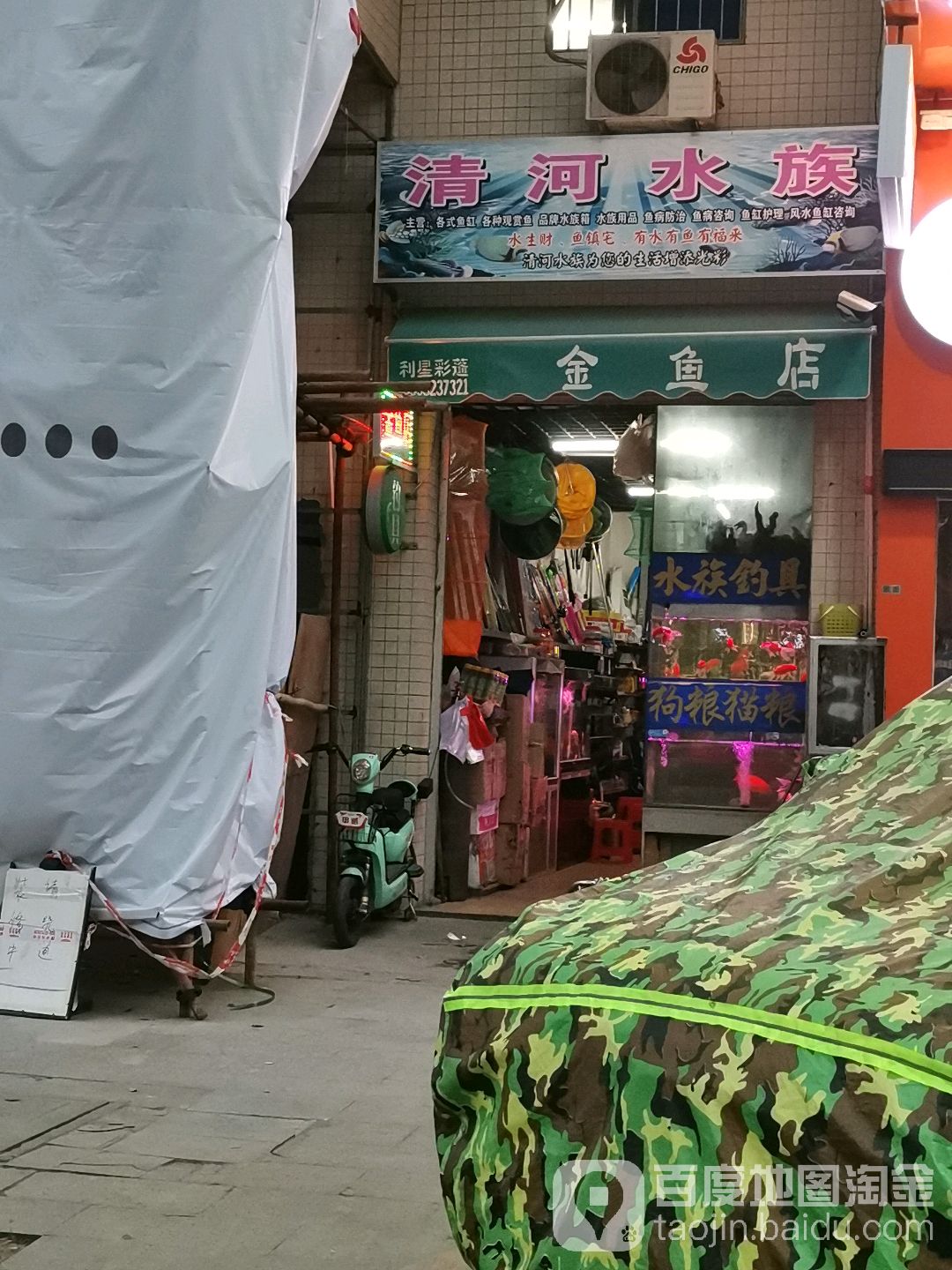 青河水族(曙光大道店)
