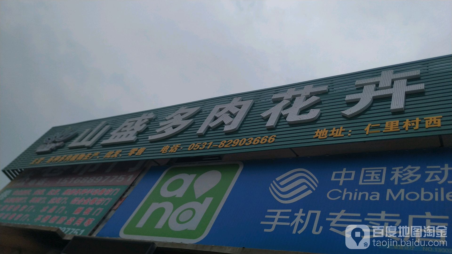 山盛多肉花卉