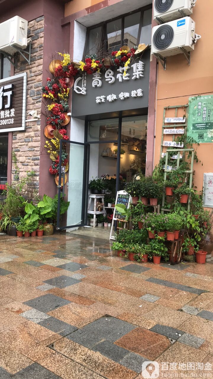 青鸟花集(欧洲城店)