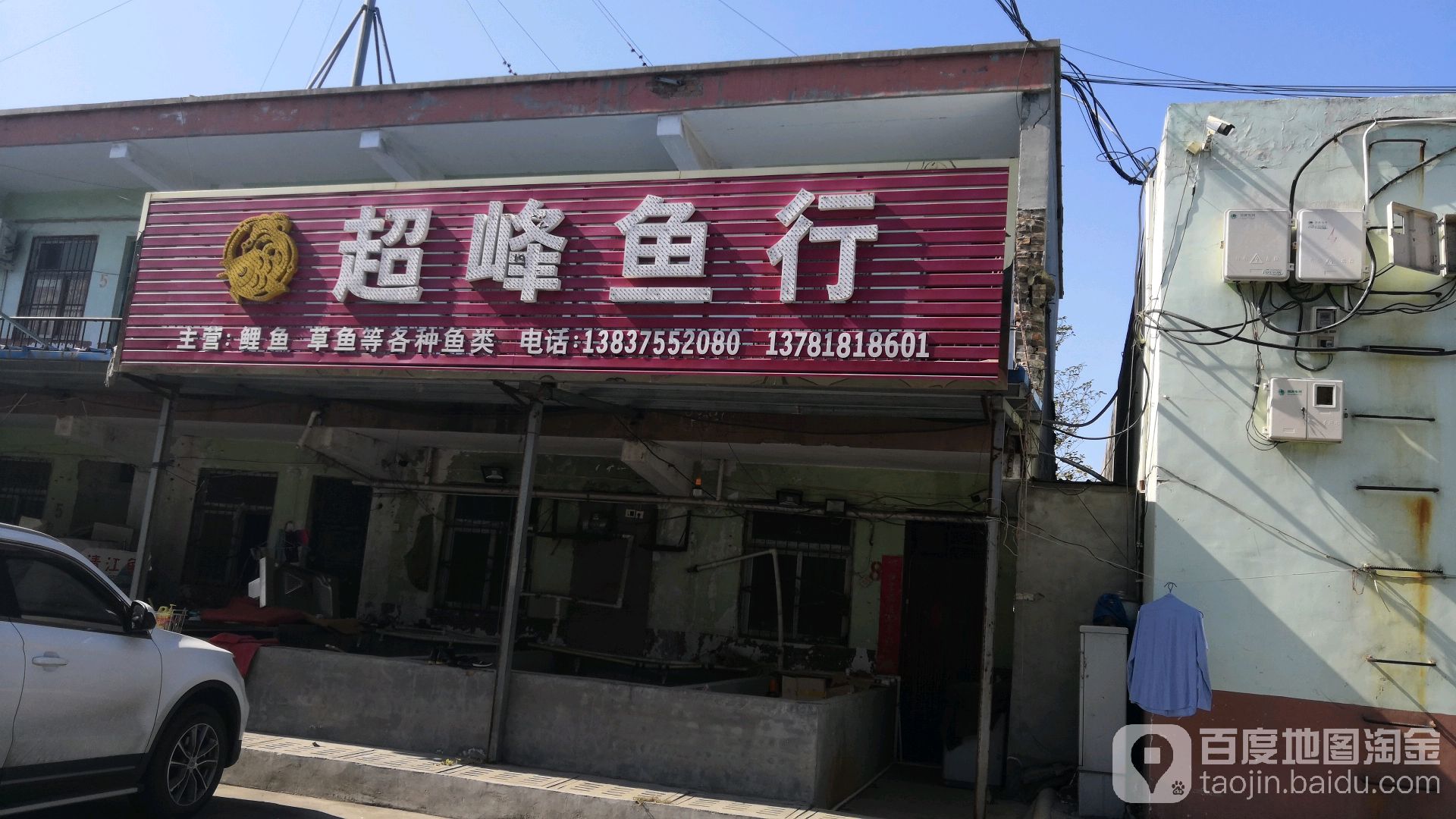 超峰鱼行