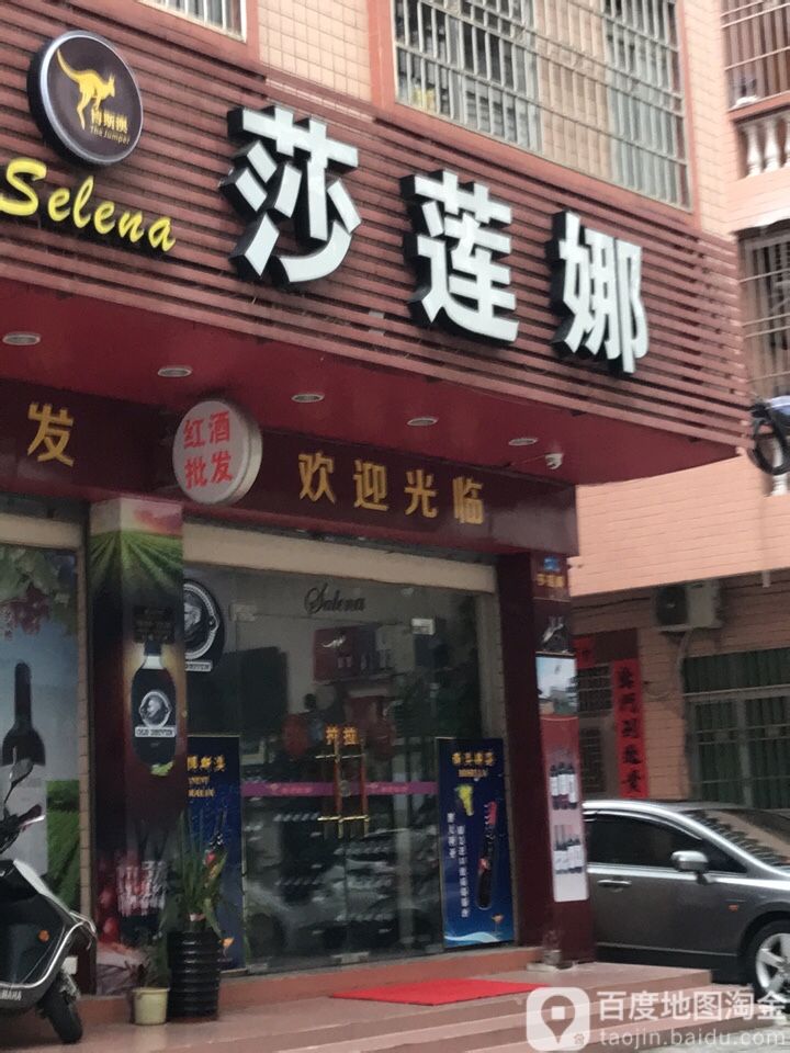 莎莲娜酒业(翠星路北一街店)