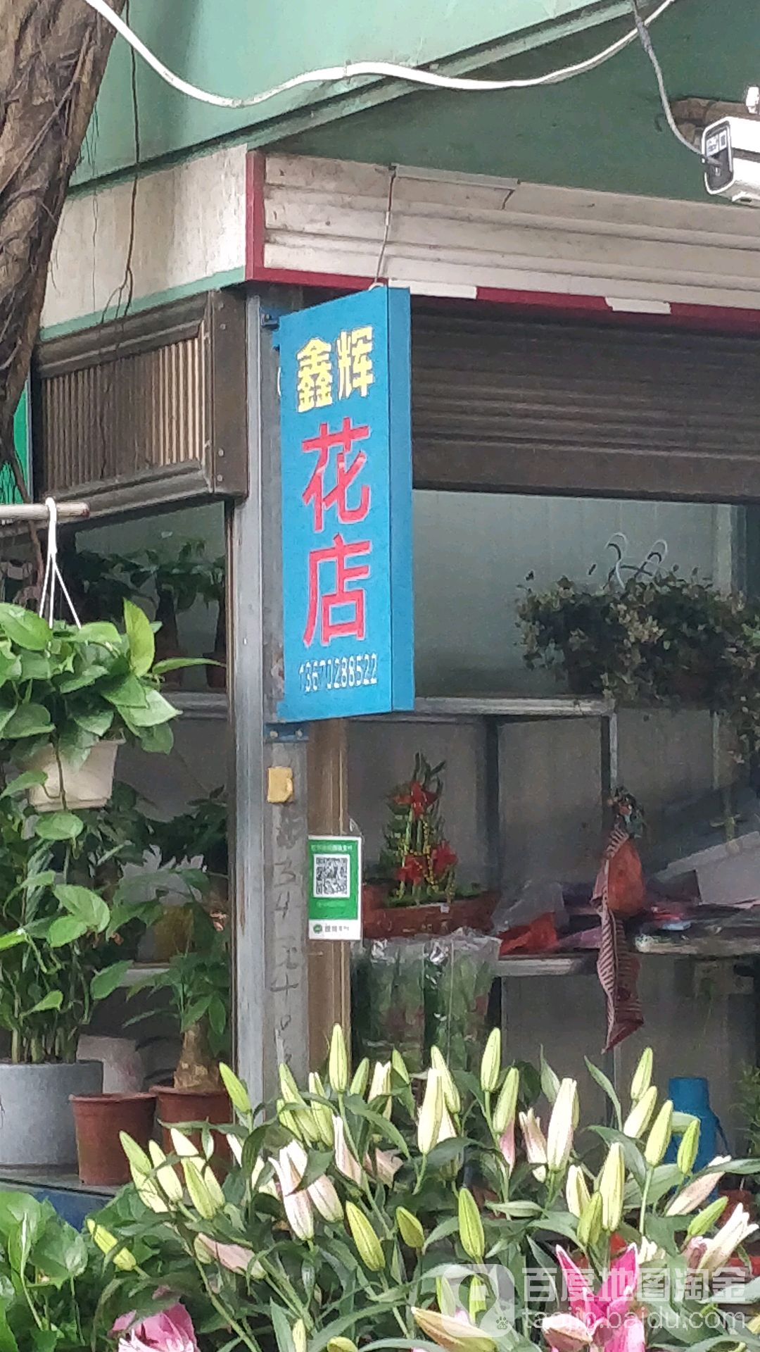 鑫辉花店