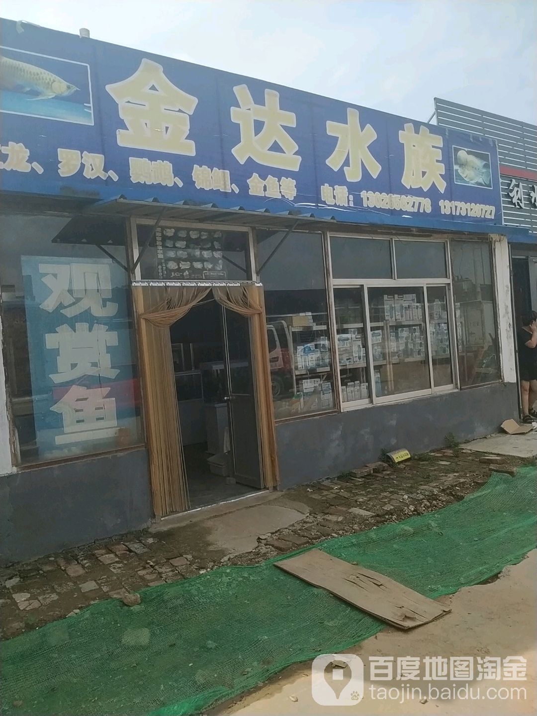 金大水族