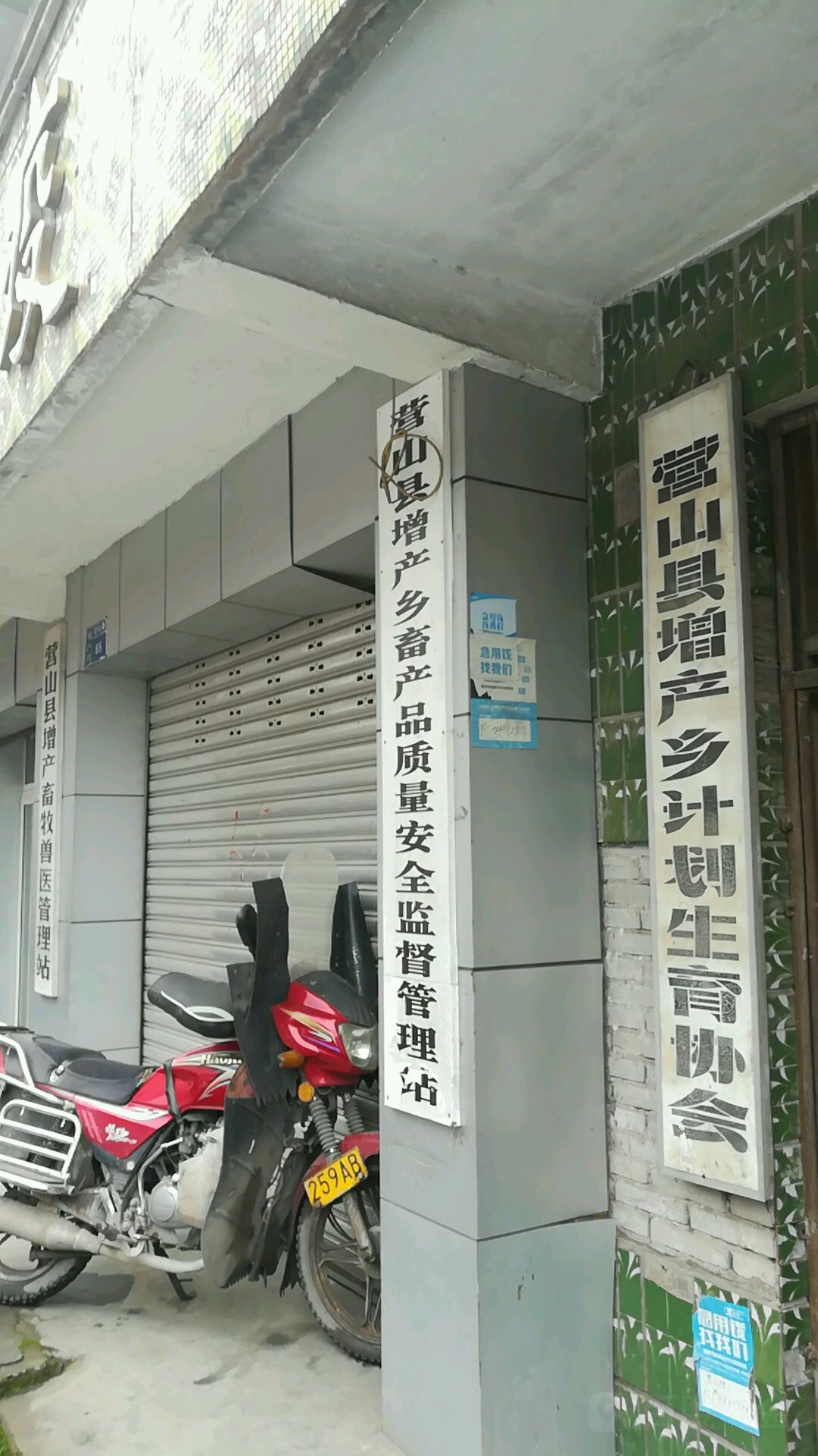 回龙镇街道营山附近