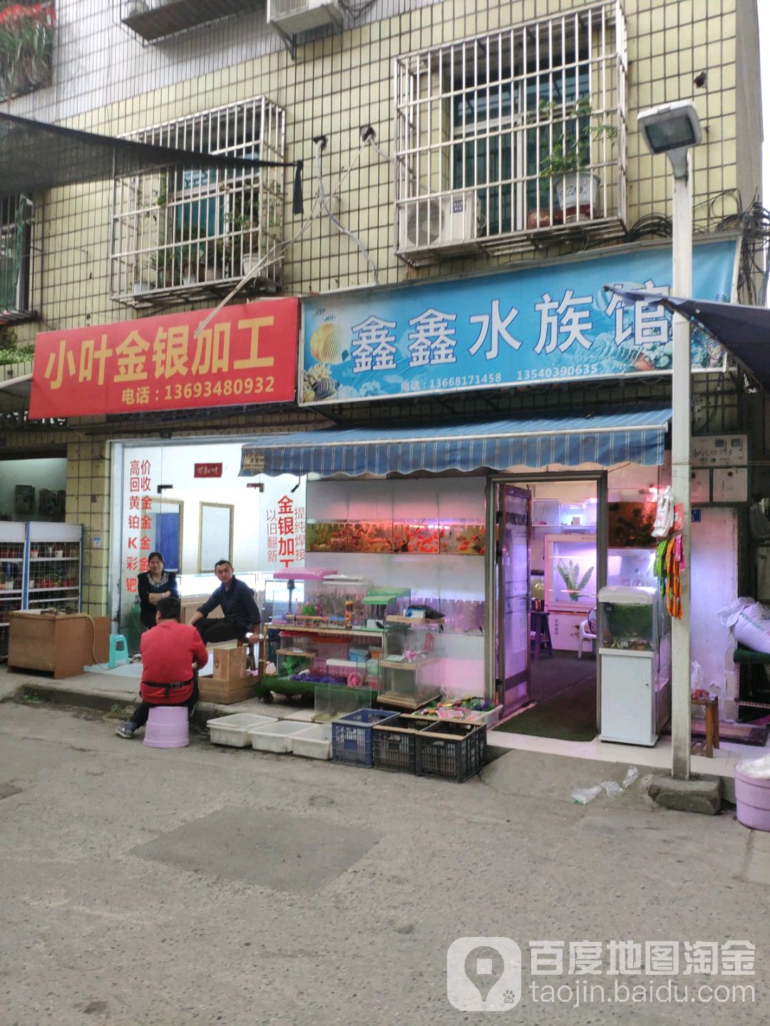 鑫鑫水族管(和兴街店)