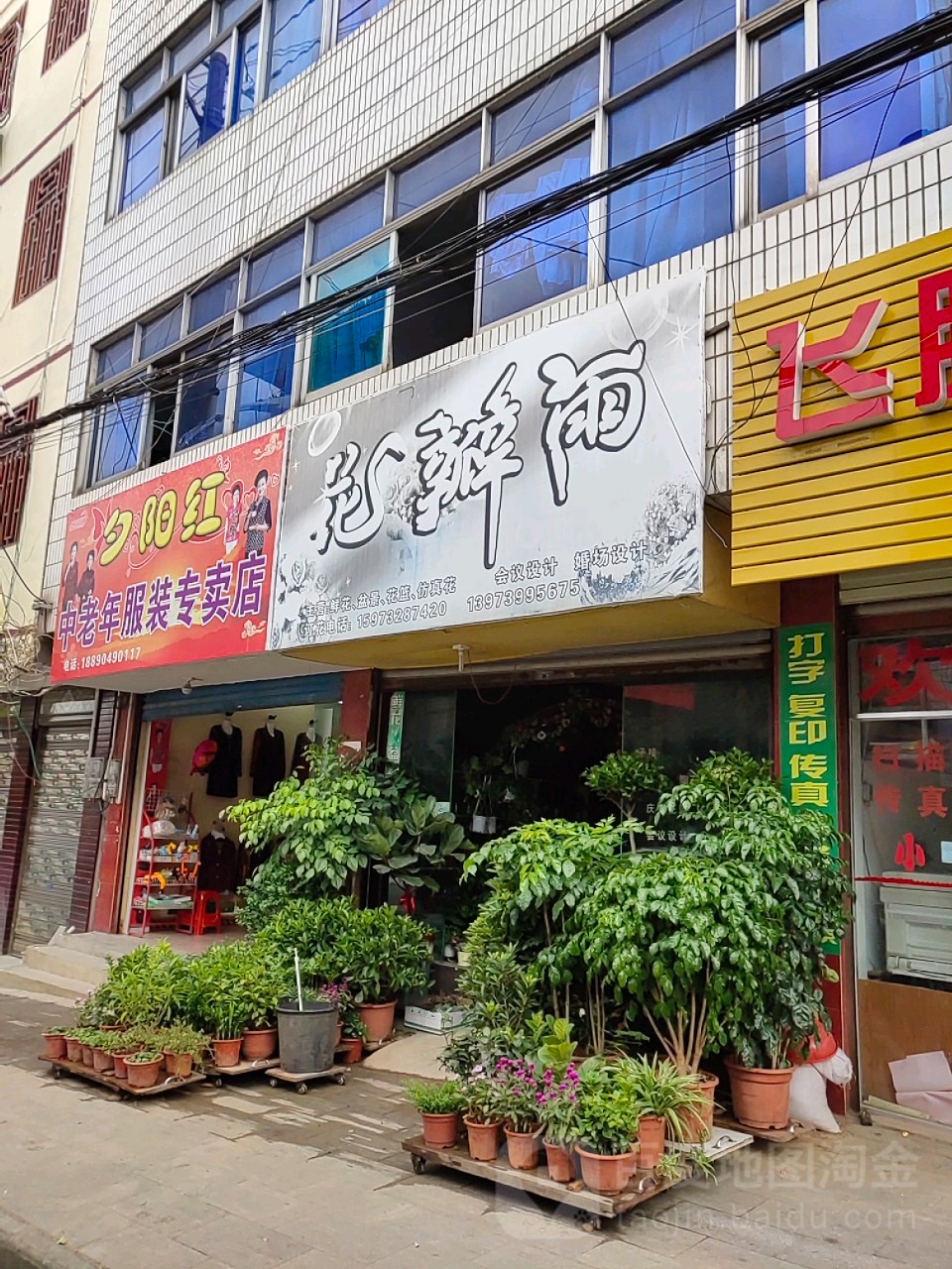 花瓣雨(青年路店)