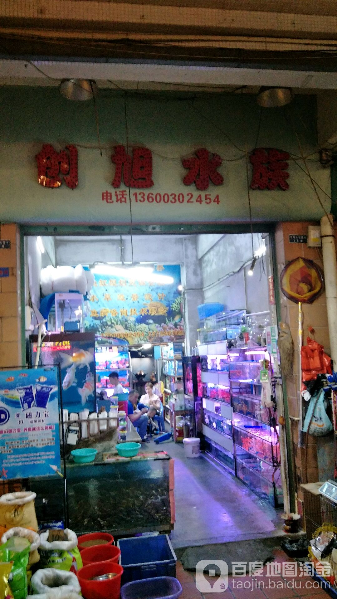 创旭水族(玫瑰园南区店)