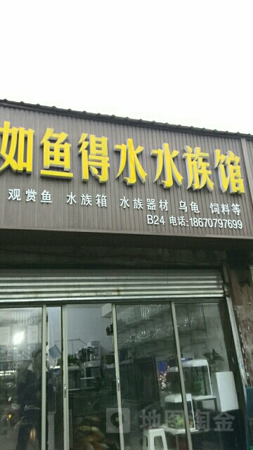 如鱼得水水族箱(株洲大桥店)