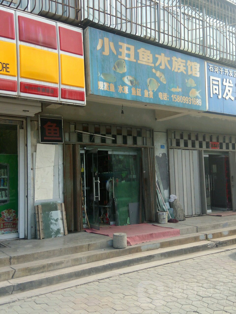 小丑鱼水景馆