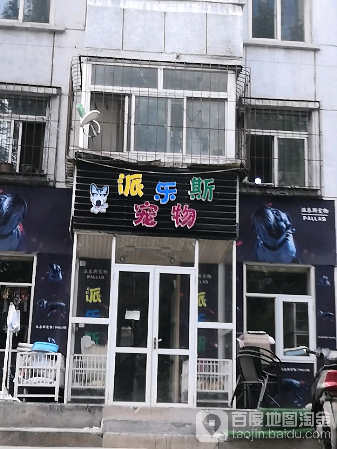 SEVEN家宠物美容工作室